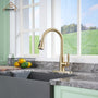 Casainc Single-Handle Kitchen Faucet with  Pull-Out Sprayer