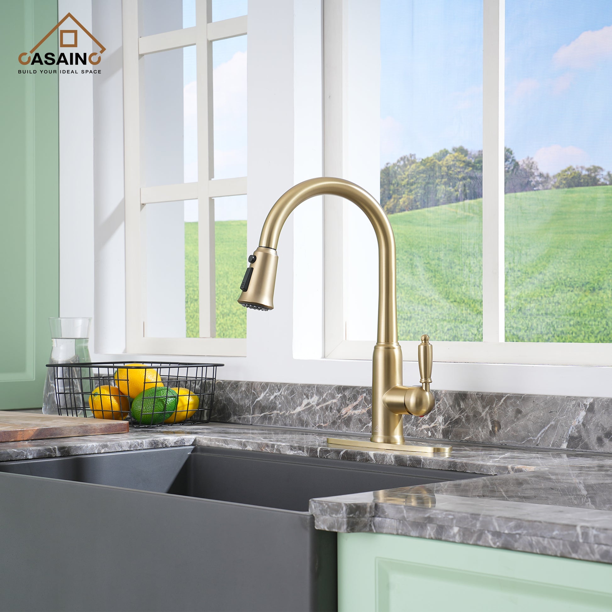 Casainc Single-Handle Kitchen Faucet with  Pull-Out Sprayer