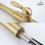 Casainc Single-Handle Kitchen Faucet with  Pull-Out Sprayer