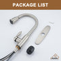 Casainc Single-Handle Kitchen Faucet with  Pull-Out Sprayer