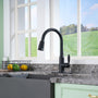 Casainc Single-Handle Kitchen Faucet with  Pull-Out Sprayer