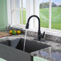 Casainc Single-Handle Kitchen Faucet with  Pull-Out Sprayer