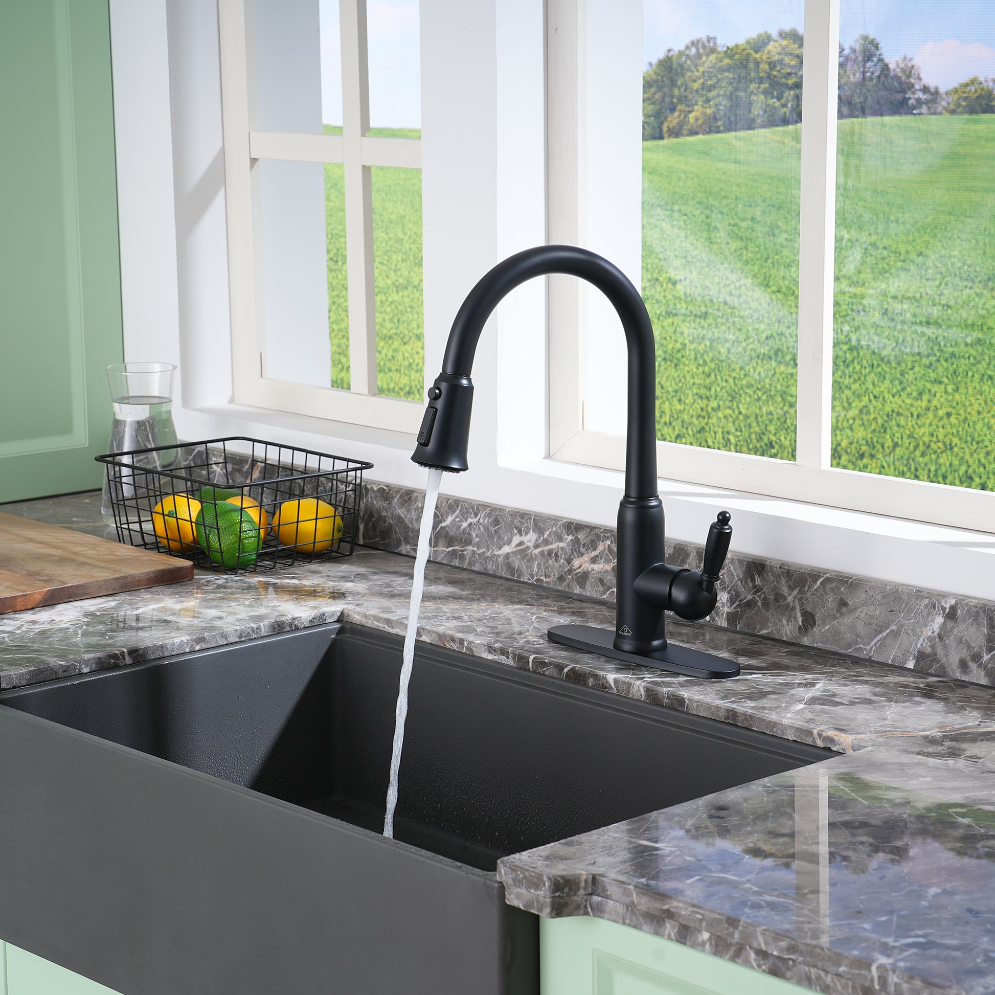 Casainc Single-Handle Kitchen Faucet with  Pull-Out Sprayer