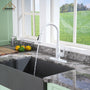 Casainc Single-Handle Kitchen Faucet with  Pull-Out Sprayer