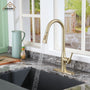 CASAINC Single-Handle Kitchen Faucet with  Pull-Down Sprayer