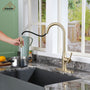 CASAINC Single-Handle Kitchen Faucet with  Pull-Down Sprayer
