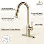 CASAINC Single-Handle Kitchen Faucet with  Pull-Down Sprayer