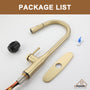 CASAINC Single-Handle Kitchen Faucet with  Pull-Down Sprayer