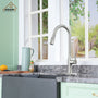 CASAINC Single-Handle Kitchen Faucet with  Pull-Down Sprayer