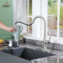 CASAINC Single-Handle Kitchen Faucet with  Pull-Down Sprayer