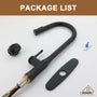 CASAINC Single-Handle Kitchen Faucet with  Pull-Down Sprayer
