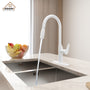 Single-Handle Pull-Out Sprayer Kitchen Faucet Deckplate Included in Brushed Nickel/Matte Black/Matte White/Brushed Gold