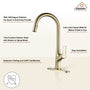 Single-Handle Kitchen Faucet with Pull-Out Sprayer in Matte Black Brushed Nickel Brushed Gold