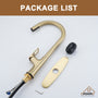 Single-Handle Kitchen Faucet with Pull-Out Sprayer in Matte Black Brushed Nickel Brushed Gold