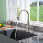 CASAINC Single-Handle Pull-Out Sprayer Kitchen Faucet with Digital Display