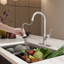 CASAINC Single-Handle Kitchen Faucet with Pull-Out Sprayer in Brushed Nickel/Matte Black/Matte White/Brushed Gold