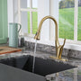 CASAINC Single-Handle Kitchen Faucet with  Pull-Out Sprayer
