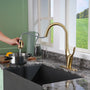 CASAINC Single-Handle Kitchen Faucet with  Pull-Out Sprayer