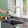 CASAINC Single-Handle Kitchen Faucet with  Pull-Out Sprayer