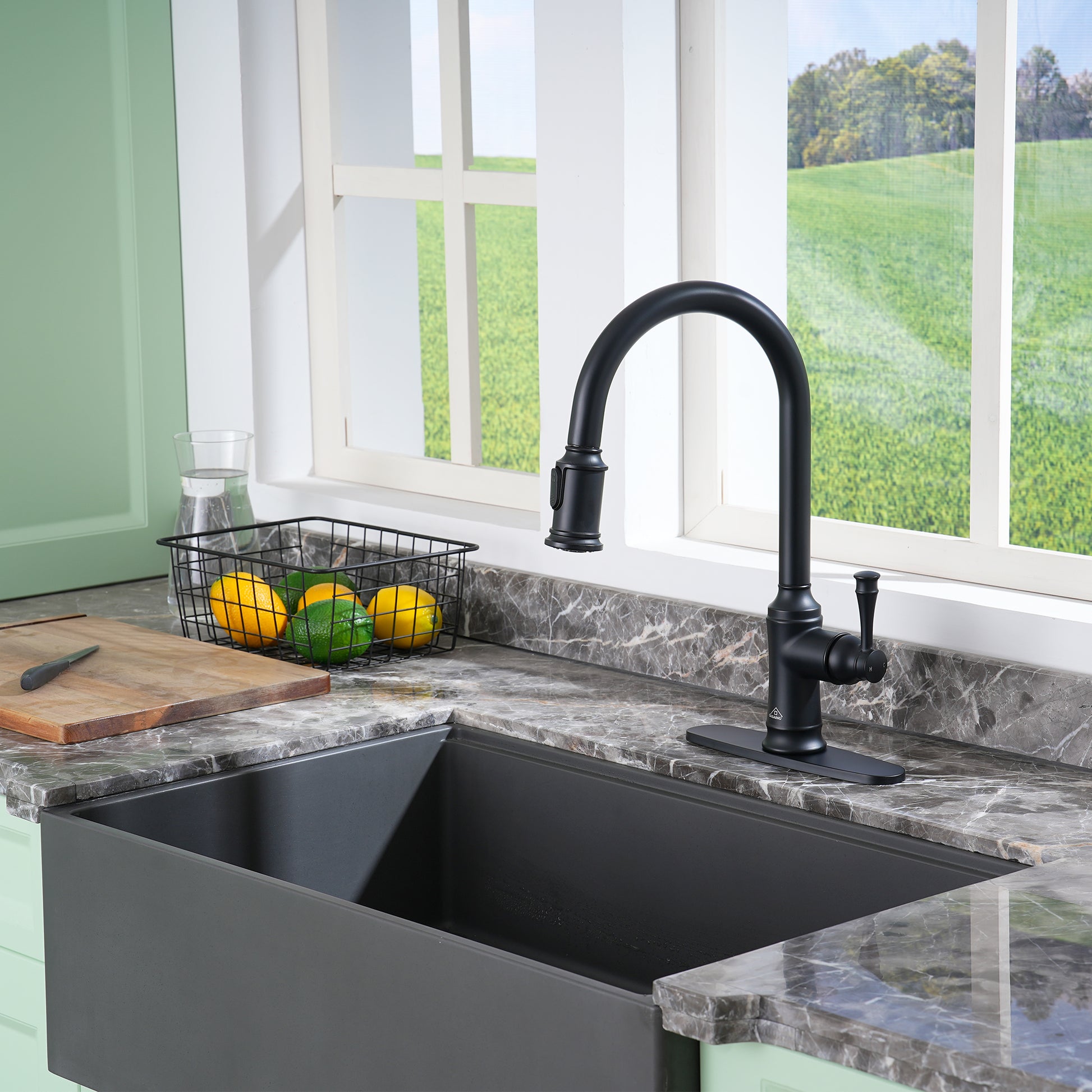 Single-Handle Kitchen Faucet with  Pull-Out Sprayer