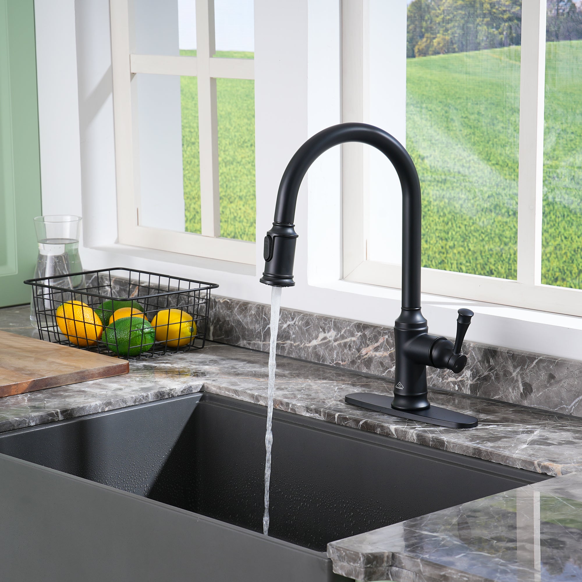 Single-Handle Kitchen Faucet with  Pull-Out Sprayer