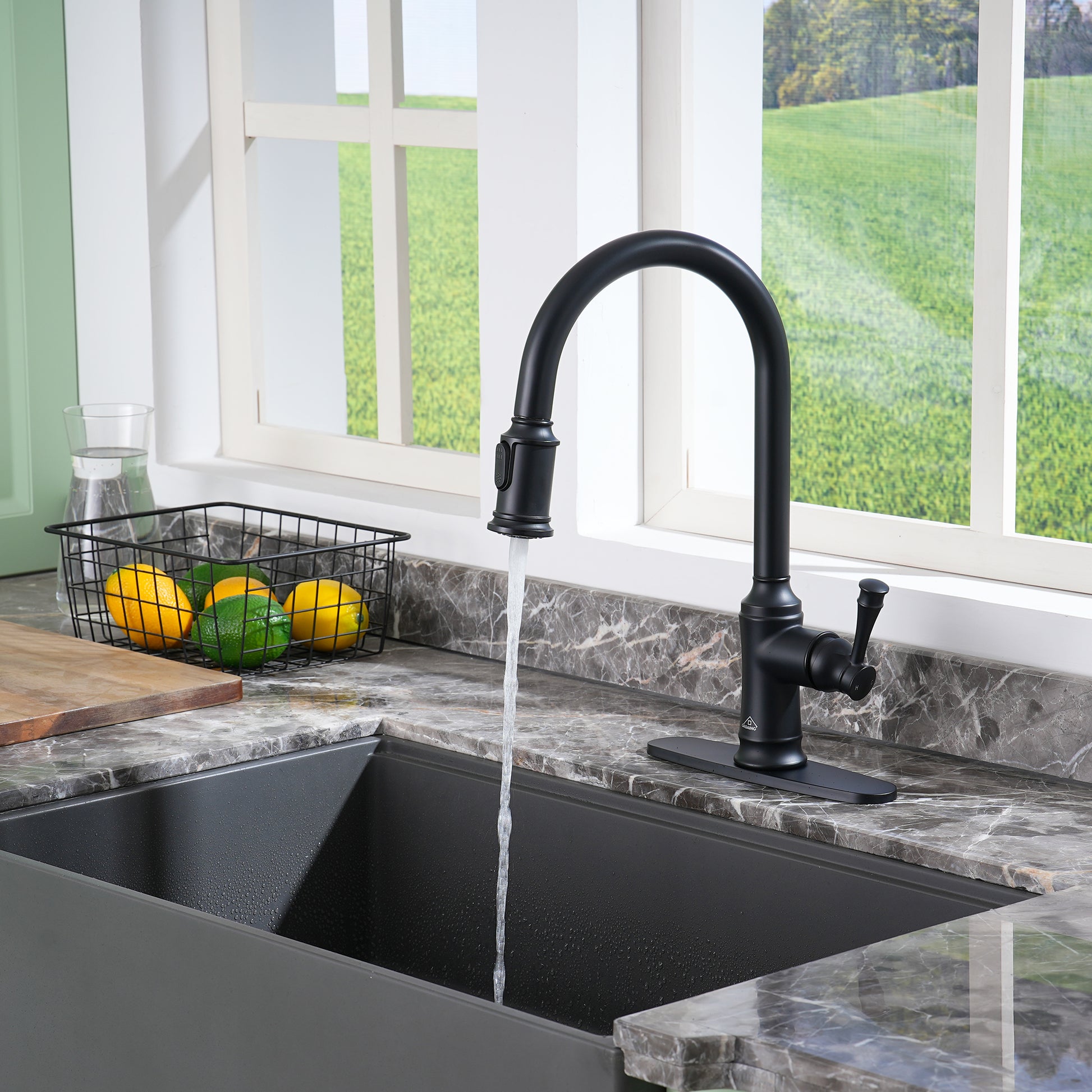 Single-Handle Kitchen Faucet with  Pull-Out Sprayer