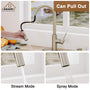 CASAINC Infrared Induction touchless pull down single handle Kitchen Faucet With LED Function in Matte Black/1.8gpm, soap dispenser contain-CASAINC