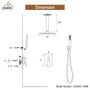 CASAINC Wall-Mounted/Ceiling-Mounted 2-Function Shower System with Handheld Shower in Matte Black