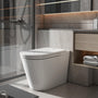 Luxury Smart Bidet Toilet with Heated Seat and Auto Flush, White, Gold, or Silver Seat Cover
