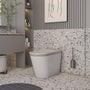 Luxury Smart Bidet Toilet with Heated Seat and Auto Flush, White, Gold, or Silver Seat Cover