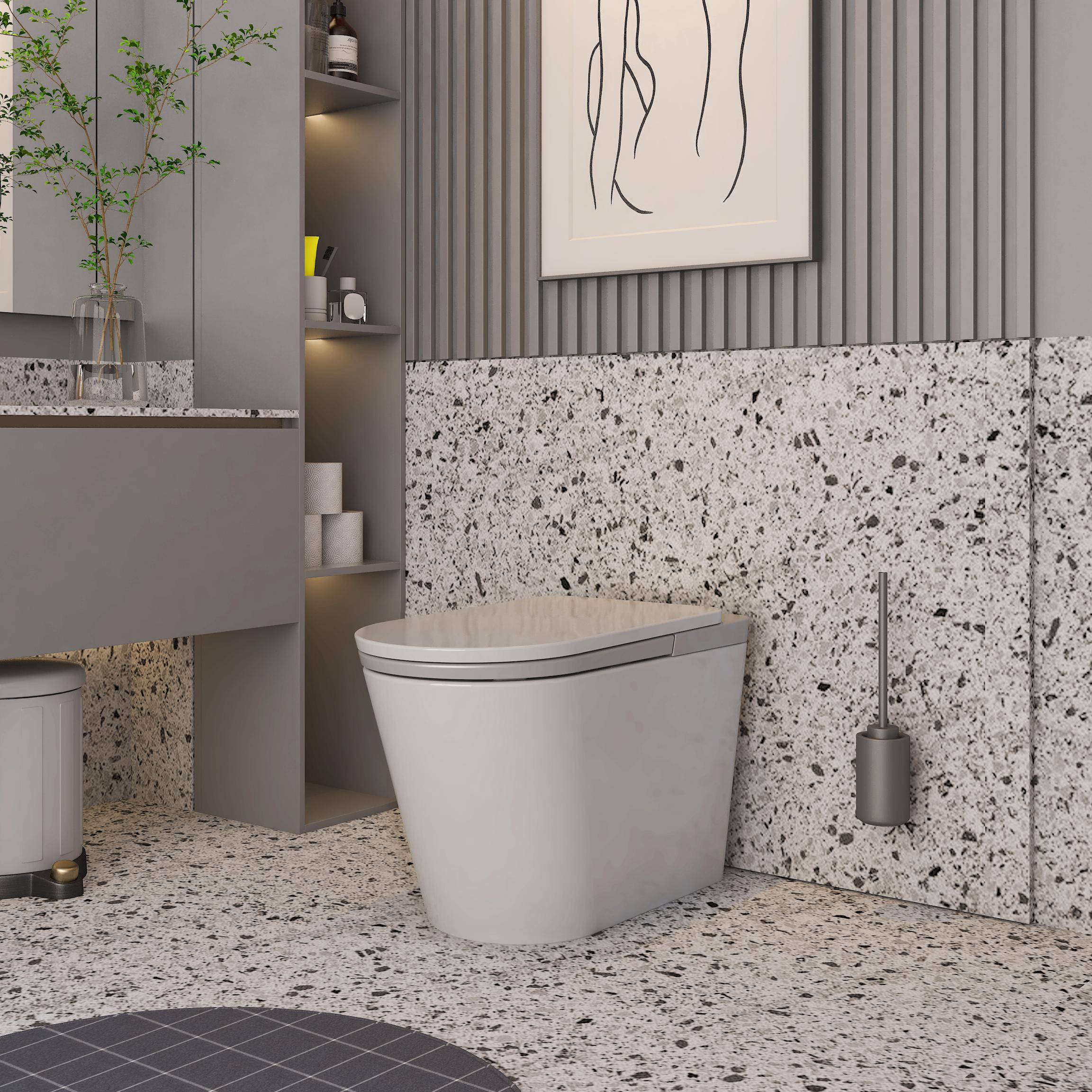 Luxury Smart Bidet Toilet with Heated Seat and Auto Flush, White, Gold, or Silver Seat Cover