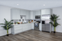 Dove Grey - Ready To Assemble Kitchen Cabinets