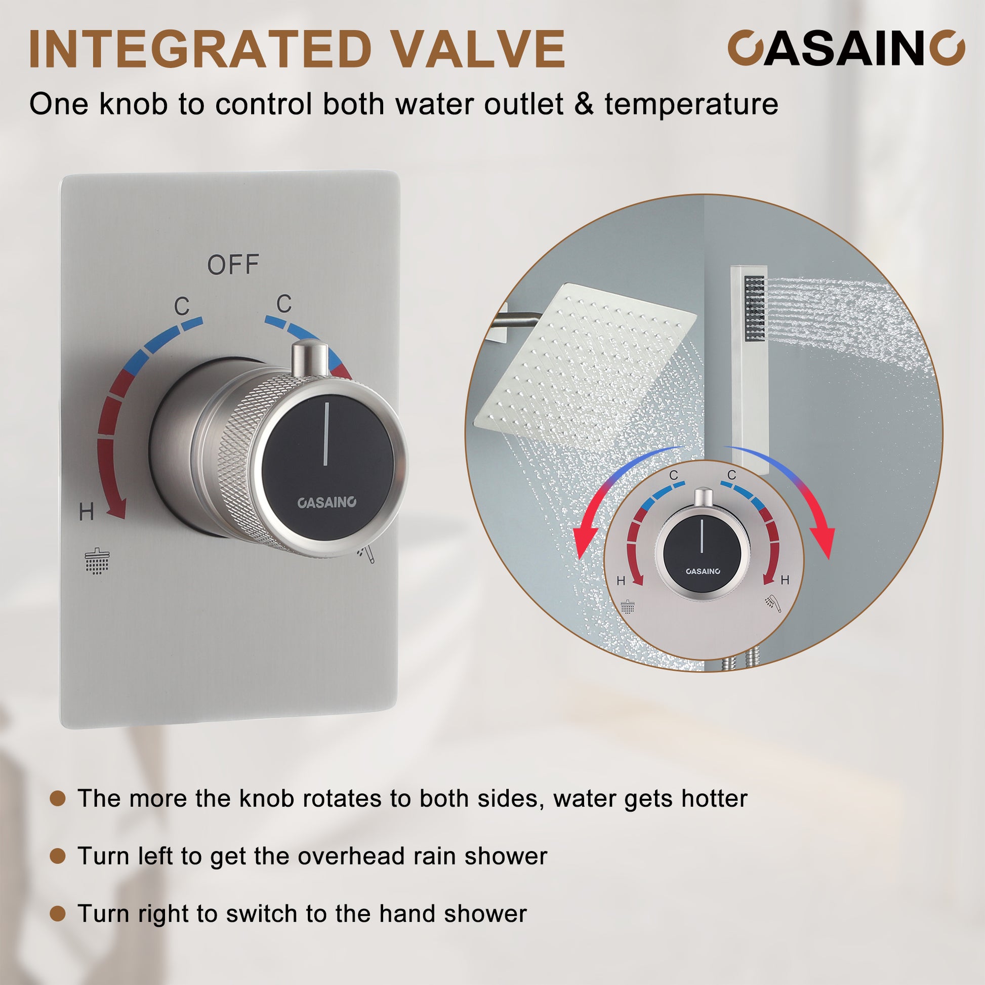 Dual Function Shower System With Unique Shower Arm