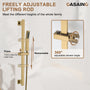 10" Dual Function Rain Shower System With Slide Bar & Handheld Shower