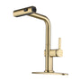 Single Handle Pull-Out Kitchen Faucet with 3 Functions Spray