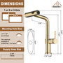 Single Handle Pull-Out Kitchen Faucet with 3 Functions Spray