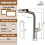 Single Handle Pull-Out Kitchen Faucet with 3 Functions Spray