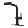 Single Handle Pull-Out Kitchen Faucet with 3 Functions Spray