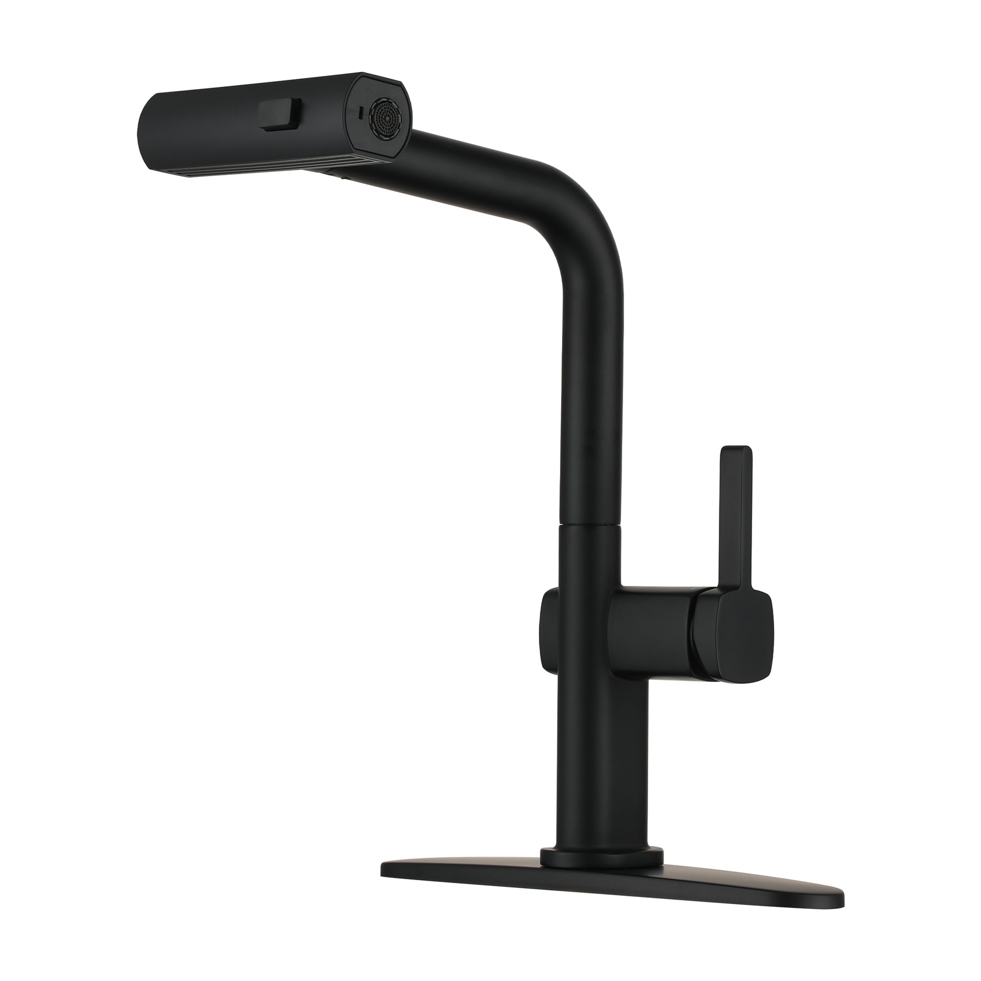 Single Handle Pull-Out Kitchen Faucet with 3 Functions Spray