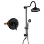 8-inch 2-Function Exposed Pipe Shower System with Shower Valve