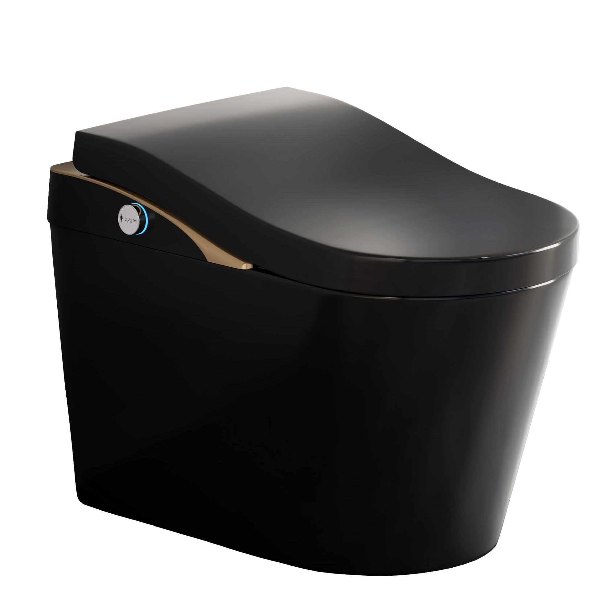Modern Smart Toilet With Bidet, Auto Flush,  Warm Water and Dry, Heated Seat, Foam Shield Function Matte Black