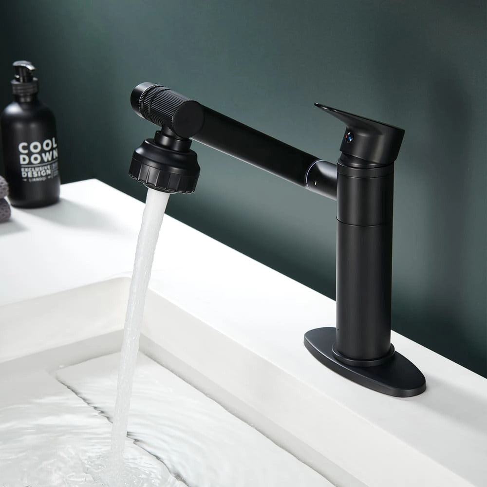 Single Hole Stainless steel swivel dual function Bathroom Basin faucet