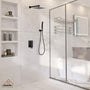 CASAINC Wall-Mounted/Ceiling-Mounted 2-Function Shower System with Handheld Shower in Matte Black