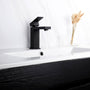 Casainc Matte Black 1-Handle Residential Freestanding Sink Faucet
