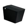 Black & White Smart Built-in Tank Bidet Toilet with Foot-Touch Lid Opening