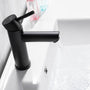Casainc Matte Black 1-Handle Commercial Freestanding Sink Faucet