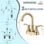 Casainc 2-Handle Centerset Bathroom Faucet for Bathroom Sink Vanity Faucet 360° Swivel Spout