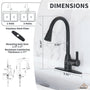 Kitchen Faucet with Pull Down Sprayer Three Function Spray Head