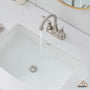Casainc 2-Handle Centerset Bathroom Faucet for Bathroom Sink Vanity Faucet 360° Swivel Spout