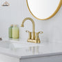 Casainc 4 Inch 2-Handle Centerset Bathroom Sink Faucet 360° Swivel Spout Vanity Faucet
